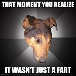 *Internal screaming intensifies* | THAT MOMENT YOU REALIZE; IT WASN'T JUST A FART | image tagged in memes,depression dog | made w/ Imgflip meme maker