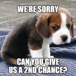 We're sorry | WE'RE SORRY; CAN YOU GIVE US A 2ND CHANCE? | image tagged in sad puppy,sorry,2nd chance,dog,we're sorry,do over | made w/ Imgflip meme maker