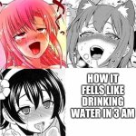 Hentai Faces | HOW IT FELLS LIKE DRINKING WATER IN 3 AM | image tagged in hentai faces | made w/ Imgflip meme maker