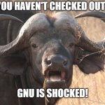 $NU gnu | WUT YOU HAVEN'T CHECKED OUT $NU? GNU IS SHOCKED! | image tagged in gnu | made w/ Imgflip meme maker