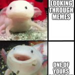 its tru | UR LOOKING THROUGH MEMES; ONE OF YOURS SHOWS UP | image tagged in axolotl | made w/ Imgflip meme maker