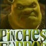 Shrek Pinches Furros
