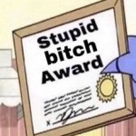 stupid bitch award