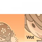 Tem the wot