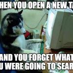 dog on computer | WHEN YOU OPEN A NEW TAB; AND YOU FORGET WHAT YOU WERE GOING TO SEARCH | image tagged in dog on computer | made w/ Imgflip meme maker