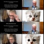 Cat lawyer zoom meeting meme