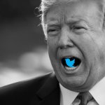 Trump Twitter