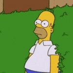 simspon GIF Template