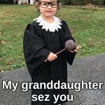 RBG Granddaughter judge | My granddaughter sez you are out of order! | image tagged in ruth bader ginsberg rbg costume toddler,costume,judge,lawyer,toddler | made w/ Imgflip meme maker