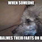Melencholy Pupper | WHEN SOMEONE; BALMES THEIR FARTS ON U | image tagged in melencholy pupper | made w/ Imgflip meme maker