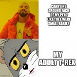 Pet owners be like | CARRYING AROUND EACH OF MY PETS LIKE THEY WERE SMALL BABIES; MY ADULT T-REX | image tagged in drake double approval | made w/ Imgflip meme maker