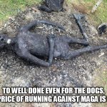 UMA says hi | TO WELL DONE EVEN FOR THE DOGS, THE PRICE OF RUNNING AGAINST MAGA IS HIGH | image tagged in uma says hi | made w/ Imgflip meme maker