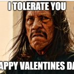 Danny Trejo | I TOLERATE YOU; HAPPY VALENTINES DAY | image tagged in danny trejo,valentines day,valentines,funny memes | made w/ Imgflip meme maker