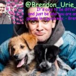 Brendon Urie announcement temp