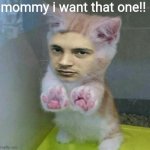 tyler catseph meme