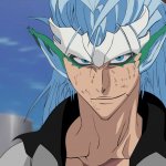 Grimmjow Jaegerjaquez Pantera