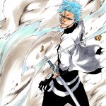 Grimmjow Jaegerjaquez