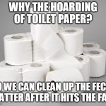 toilet paper | WHY THE HOARDING OF TOILET PAPER? SO WE CAN CLEAN UP THE FECAL MATTER AFTER IT HITS THE FAN. | image tagged in toilet paper | made w/ Imgflip meme maker