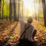 Sacred Grove