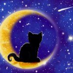 Cat in moon