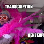 gene expression | TRANSCRIPTION; REST OF GENE EXPRESSION | image tagged in pink feather man | made w/ Imgflip meme maker