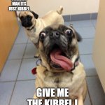 pug love | COME ON MAN ITS JUST KIBBEL; GIVE ME THE KIBBEL I KNOW YOU HAVE IT | image tagged in pug love | made w/ Imgflip meme maker