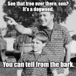 Botany Lessons From Dad | See that tree over there, son?
It's a dogwood. You can tell from the bark. | image tagged in look son,dad joke,pun,bad pun,humor,funny | made w/ Imgflip meme maker