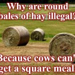 hay | Why are round bales of hay illegal? Because cows can't 
get a square meal. | image tagged in hay | made w/ Imgflip meme maker