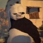 Weird panda meme