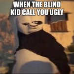 Blind | WHEN THE BLIND KID CALL YOU UGLY | image tagged in weird panda | made w/ Imgflip meme maker