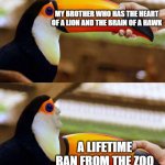 sometimes there is no need for a title | MY BROTHER WHO HAS THE HEART OF A LION AND THE BRAIN OF A HAWK; A LIFETIME BAN FROM THE ZOO | image tagged in tucan,funny | made w/ Imgflip meme maker