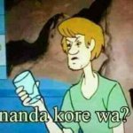 Shaggy Nanda kore wa?