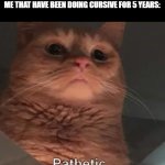 Pathetic cat gof | KIDS COMPLAINING THAT WE HAVE TO LEARN CURSIVE LETTER. 
ME THAT HAVE BEEN DOING CURSIVE FOR 5 YEARS: | image tagged in pathetic cat gof | made w/ Imgflip meme maker