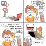 I regret it XD | ME; MHA | image tagged in entering the x,mha,bnha | made w/ Imgflip meme maker