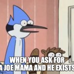 Joe Mama Mordecai And Rigby | WHEN YOU ASK FOR A JOE MAMA AND HE EXISTS | image tagged in joe mama mordecai and rigby | made w/ Imgflip meme maker