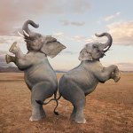 two dancing elphants