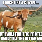 BRING IT ON!!!! | I MIGHT BE A GOYEM .... BUT I WILL FIGHT TO PROTECT THE HERD 'TILL THE BITTER END!!!! | image tagged in longhorn cattle | made w/ Imgflip meme maker