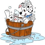 Puppy In The Bath Bucket