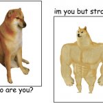 Who are you, but with Buff Doge 'n' Cheems