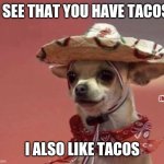 Yes Please | I SEE THAT YOU HAVE TACOS; JMR; I ALSO LIKE TACOS | image tagged in chihuahua in sumbrero,tacos | made w/ Imgflip meme maker