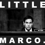 Little Marco Rubio