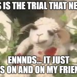 This is the Trial that never ends | THIS IS THE TRIAL THAT NEVER; ENNNDS... IT JUST GOES ON AND ON MY FRIENDS | image tagged in lambchop | made w/ Imgflip meme maker