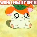 Hamtaro Meme | ME WHEN I FINALLY GET FOOD | image tagged in memes,hamtaro | made w/ Imgflip meme maker