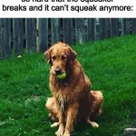 Aww poor puppy | When you squeak your ball so hard that the squeaker breaks and it can’t squeak anymore: | image tagged in sad dog,sad,ball,memes,doggo,dogs | made w/ Imgflip meme maker