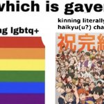 which is gayer? meme