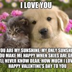 Happy Valentine's Day | I LOVE YOU; YOU ARE MY SUNSHINE, MY ONLY SUNSHINE
YOU MAKE ME HAPPY WHEN SKIES ARE GRAY
YOU'LL NEVER KNOW DEAR, HOW MUCH I LOVE YOU
HAPPY VALENTINE'S DAY TO YOU | image tagged in puppies and kittens | made w/ Imgflip meme maker