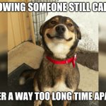 Miss you | KNOWING SOMEONE STILL CARES; AFTER A WAY TOO LONG TIME APART. | image tagged in proud dog,loved,honestly,truth | made w/ Imgflip meme maker