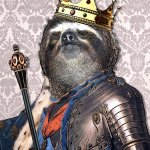 Sloth king