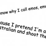 Ya know why I call emos emus? meme