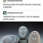 Jellyfish | image tagged in oof stones,oof,funny,memes,roasts,roast | made w/ Imgflip meme maker